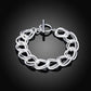 fashion-jewelry-hot-mode-sterling-silver-noble-nice-chain-solid-bracelet-834893.webp